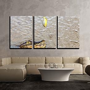 3 Piece Canvas Wall Art - Amazing Wild Crocodile in Pantanal River, Brazil - Modern Home Art Stretched and Framed Ready to Hang - 16"x24"x3 Panels