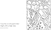 Little Book Of Calm Colouring Book