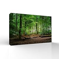 signwin-Canvas Wall Art-Sunshine in The Forest -Canvas Prints Home Artwork Decoration for Living Room,Bedroom - 12x18 inches