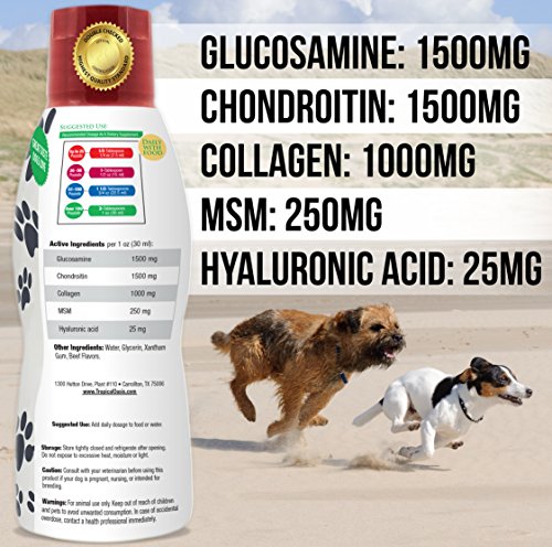 VETERINARIAN DEVELOPED Hip & Joint Supplement for Dogs - Max Strength Liquid Glucosamine for Dogs w/Chondroitin, MSM, Hyaluronic Acid PLUS Collagen -Arthritis Pain Relief for Dogs -16oz, Up to 64 Serv