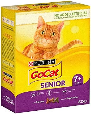 cute small dogs pics