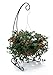 Plastec 40-Inch Black The Veranda Plant Stand VSB1