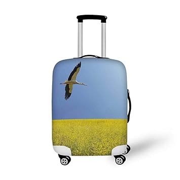 stylish suitcases