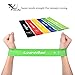 Resistance Loop Bands [Set of 6], LizardMad Natural Latex Fitness Exercise Bands for Workout, Pilates, Yoga, Rehab or Physical Therapy with Instructional Booklet, eBook (12