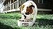 Merrick Grain Free Healthy Weight Dry Dog Food Recipes, Healthy Weight Real Beef, 25 Pound