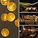 AMIR Solar Powered String Lights Lantern, 20 LED 16ft Length, Starry String,Globe Lights, Indoor/Outdoor Waterproof Solar Decoration Lights for Gardens, Home, Dancing, Party (Warm White)