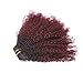 Ombre Remy Clip in Human Hair Extensions Afro Kinky Curly 4B 4C 100% Natural Black Hair Extensions 10-22 inch Two Tone T#1B/99J Burgandy Wine Red Full Head (12 inch, Ombre #1B/99J AC)