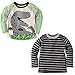 Gerber Graduates Baby Boys' ' 2 Pack Long Sleeve Tops, Dino/Grey/Black Stripe, 18 Months