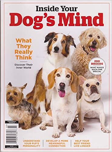 dog supplies centennial