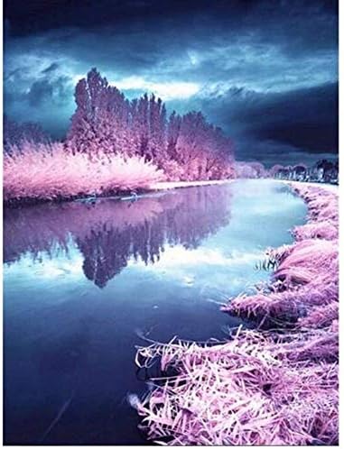 5D Diamond Painting Kits for Adults Diamond Painting by Number Kits Adults Full Frill Arts Craft Wall Decor Winter Lavender 11.8x15.7in 1 Pack by LAZODA