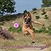 Airsspu Interactive Dog Toy - IQ Treat Ball Food Dispensing Toys for Small Medium Large Dogs Durable Chew Ball - Nontoxic Rubber and Bouncy Dog Ball - Ball Shape Design Cleans Teeth