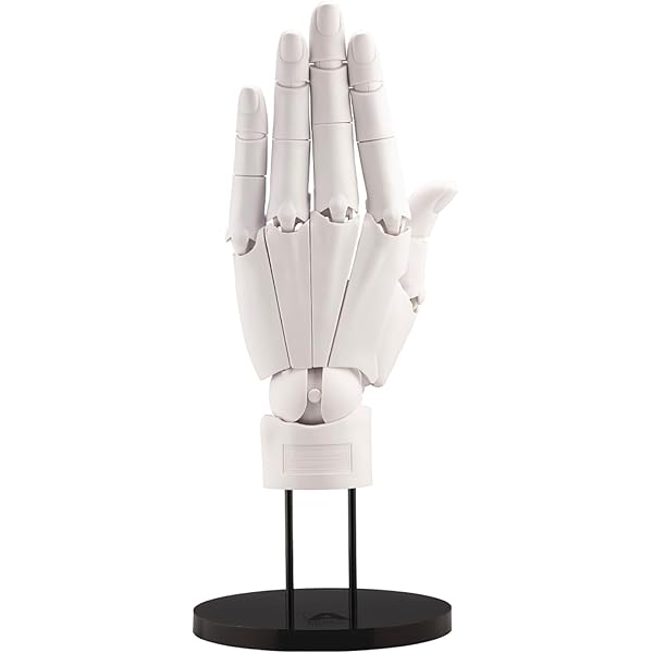 Amazon.com: Kotobukiya ARTIST SUPPORT ITEM 1/1 Scale Hand