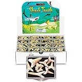 GeoCentral Shark Teeth