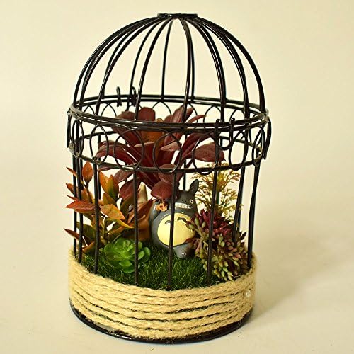Yanxi Exquisite Succulent Plants Birdcage Garden Wedding Decoration