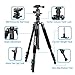 ZoMei Camera Tripod for DSLR with 360 Degree Ball Head Lightweight Alluminum Alloy Tripod for Canon Nikon DSLR and Camcorders(Black)
