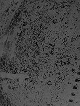 Ocean (Italian Edition)