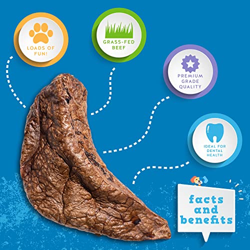 Jack&Pup Beef Lung Dog Treats (1lb Bag) Premium Grade Odor Dried Beef