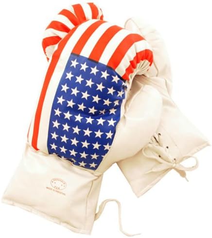 16 OZ BOXING MMA PRACTICE TRAINING GLOVES USA American Flag