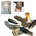 8 kinds of feather ALL in ONE Assorted for DIY, Dream Catcher, Craft （18pcs -22pcs)