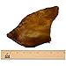 Downtown Pet Supply - Jumbo Pig Ears - Dog Dental Treats & Rawhide-Free Dog Chews - Healthy Coat & Skin Care, Cholesterol & Heart Health - Protein, Vitamins & Minerals - 10 Pack