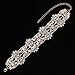 Holylove 4 Color Chunky Choker Shiny Bling Crystal Necklace for Women Jewelry Wedding Party Daily Accessories 1 Piece with Gift Box (N15-Gold)