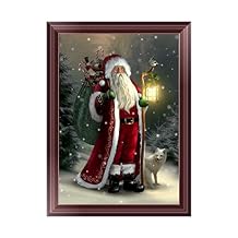 Amazon.ca: diamond dotz