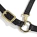 Intrepid International Mini Horse Halter Durable Nylon Miniature Horse Halter w/ Adjustable Chin & Throat Snap Mini Horse Halters for Miniature Horse