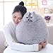 Winsterch Kids Large Cat Stuffed Animal Toys Gift Big Plush Cat Animal Baby Doll, Fat Gray Plush Cat Toy for Boys (Gray, 20 Inches)