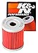 K&N KN-132 Suzuki/Hyosung High Performance Oil Filter primary