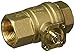 WaterCop Water Shut-Off Valve, 1 In. (WCVLF 1)