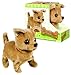 Westminster Chi Chi The Chihuahua Battery Operated Plush