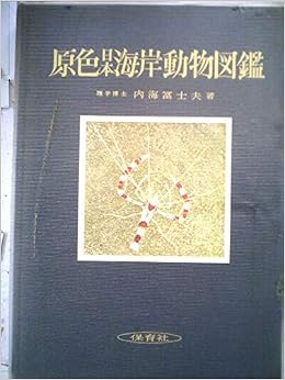 原色日本海岸動物図鑑 1963年 保育社の原色図鑑 内海 富士夫 本 通販 Amazon