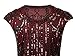 Vijiv 1920s Vintage Inspired Sequin Embellished Fringe Long Gatsby Flapper Dress