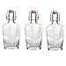 Bormioli Rocco Fiaschetta Glass 8.5 Ounce Pocket Flask, Set of 6