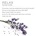 6 Pack Clear and Fresh Natural Scented Candle Gift Set, Aromatherapy Candles with Essential Oil, 100% Pure Soy Wax Candle Gift Set （6 * 3.5oz）