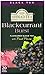 Ahmad Tea Blackcurrant Burst Black Tea, 20-Count Boxes (Pack of 6)