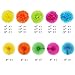 ZJHAI Set of 20 Rainbow Color Paper Pom Poms and Paper Folding Fans, 5 Colors, for Decorating Party, Shop or Wedding