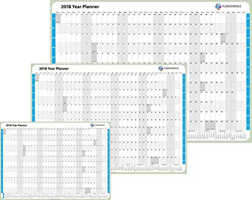 Plannerworld Laminated 2019 Giant Yearly Wall Planner, Modern Design Laminated, Blue, (18-Giant-Blue Rolled)