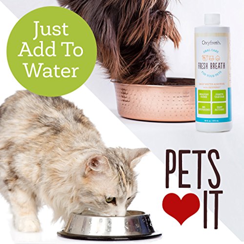 Oxyfresh Premium Pet Dental Care Solution (16oz) Best Way To Eliminate