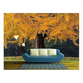 Beautiful Old Tree with Orange Leaves During Fall - Removable Wall Mural | Self-Adhesive Large Wallpaper - 66x96 inches