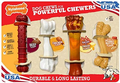 lurcher pointer cross