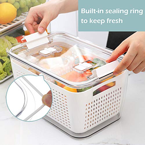 elabo Food Storage Containers Fridge Produce Saver Stackable