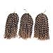BeautyGrace Pack of 3 Marlybob Crochet Braids Hair Ombre Afro Kinky Curly Braiding Hair Extensions for Girl Women(8