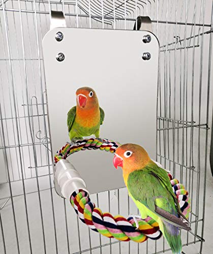 BWOGUE C0190 Bird Mirror