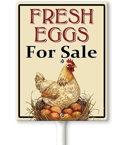 thumbnail image 2 of Mvgges Funny 'Fresh Eggs For Sale' Metal Tin Sign - 16x12 Inch Rustic Novelty Sign For Indoor & Outdoor 2 of 14