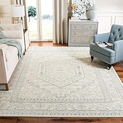 SAFAVIEH Adirondack Collection Area Rug - 8' x