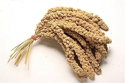 WUNDAPETS 1Kg Millet Sprig Hanging Bird Treat for Budgies Canaries Cockatiels