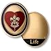 Life Scout