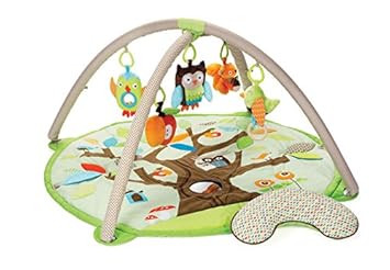 skip hop activity center amazon