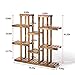 Plant Stand Holder Shelf 9 Tiers Carbonized Wood Plant Display Rack, Stand Shelf, Flower Pots Holder Storage Organizer Rack for Gardening Patio Balcony, Indoor Outdoor Officethumb 1
